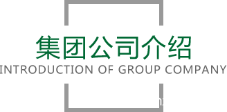 集团公司介绍